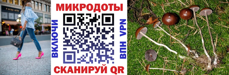 Галлюциногенные грибы MAGIC MUSHROOMS  купить закладку  Лысьва 